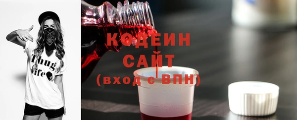 хмурый Покров