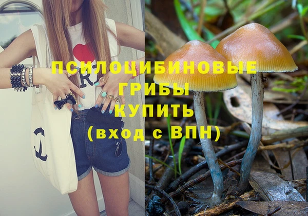 a pvp Абдулино