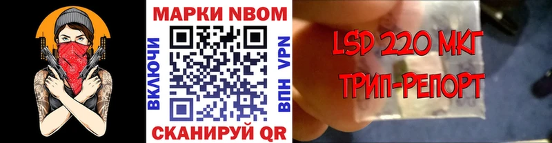 купить наркотики цена  мориарти клад  Марки N-bome 1,5мг  Белая Калитва 