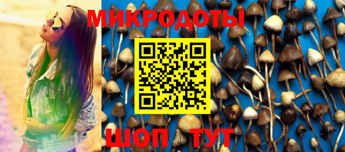 Псилоцибиновые грибы GOLDEN TEACHER  Вход с VPN  Белая Калитва 